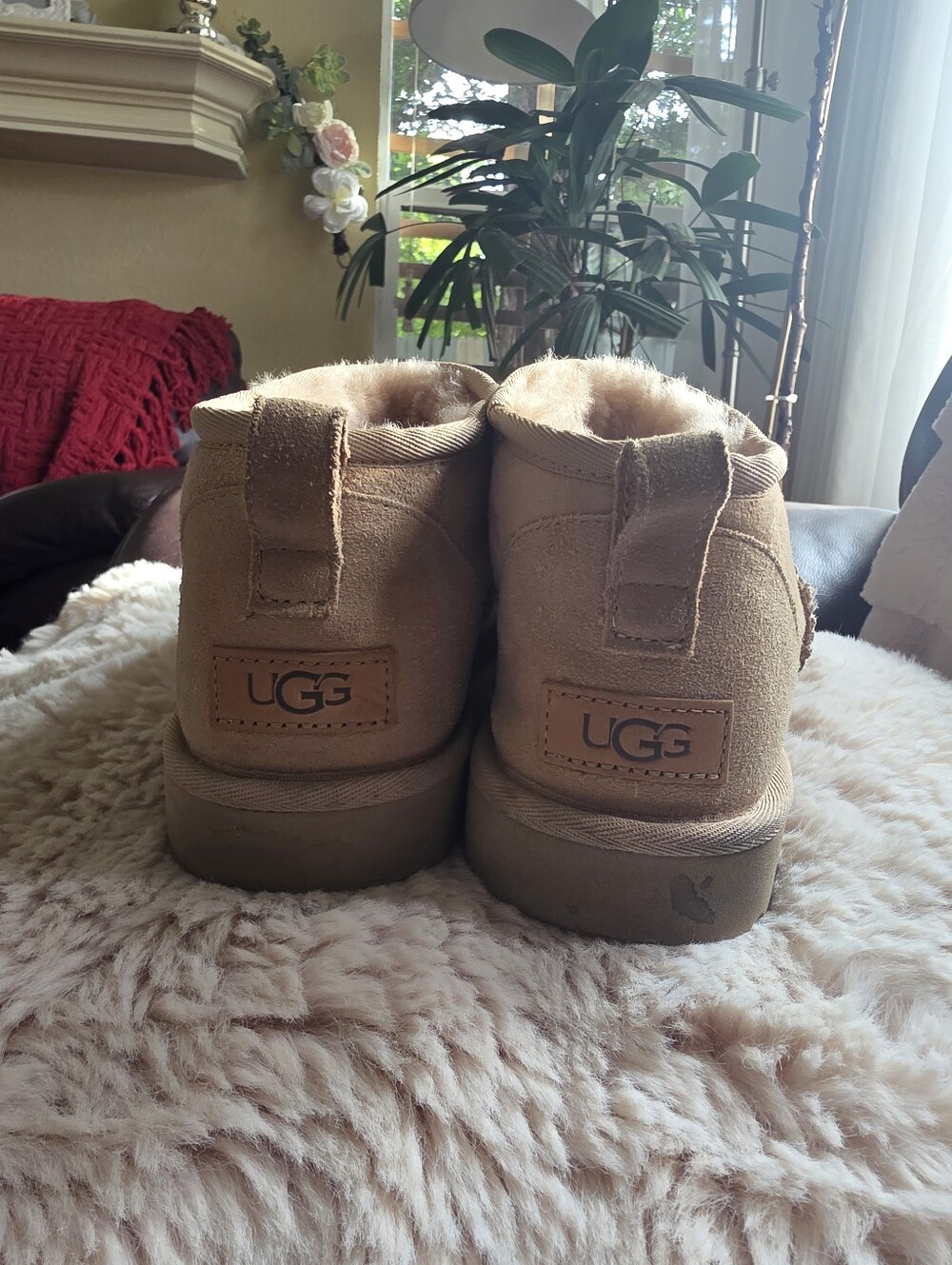 UGG Mini Booties in Chestnut Suede Size Usa 10